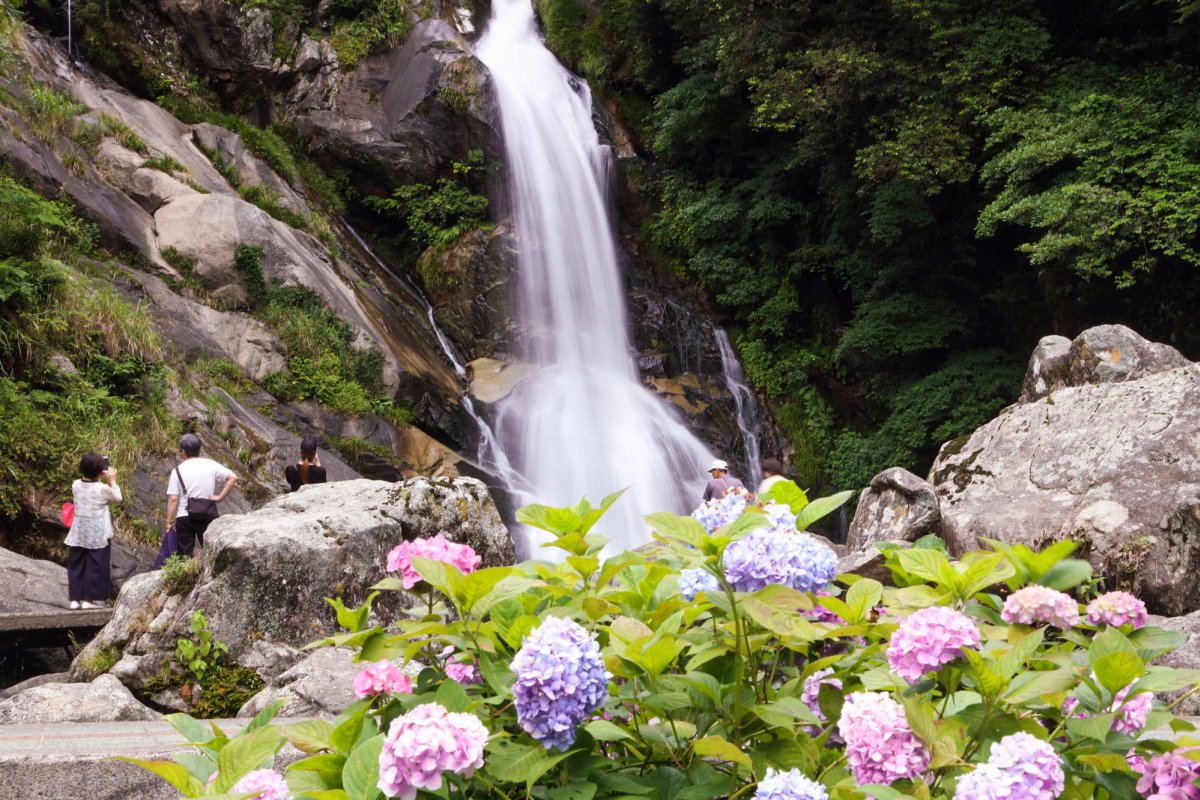 🏞️ 되돌아보는 폭포(미카에리노타키) 이미지 3